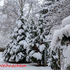 Frohe Weihnachten