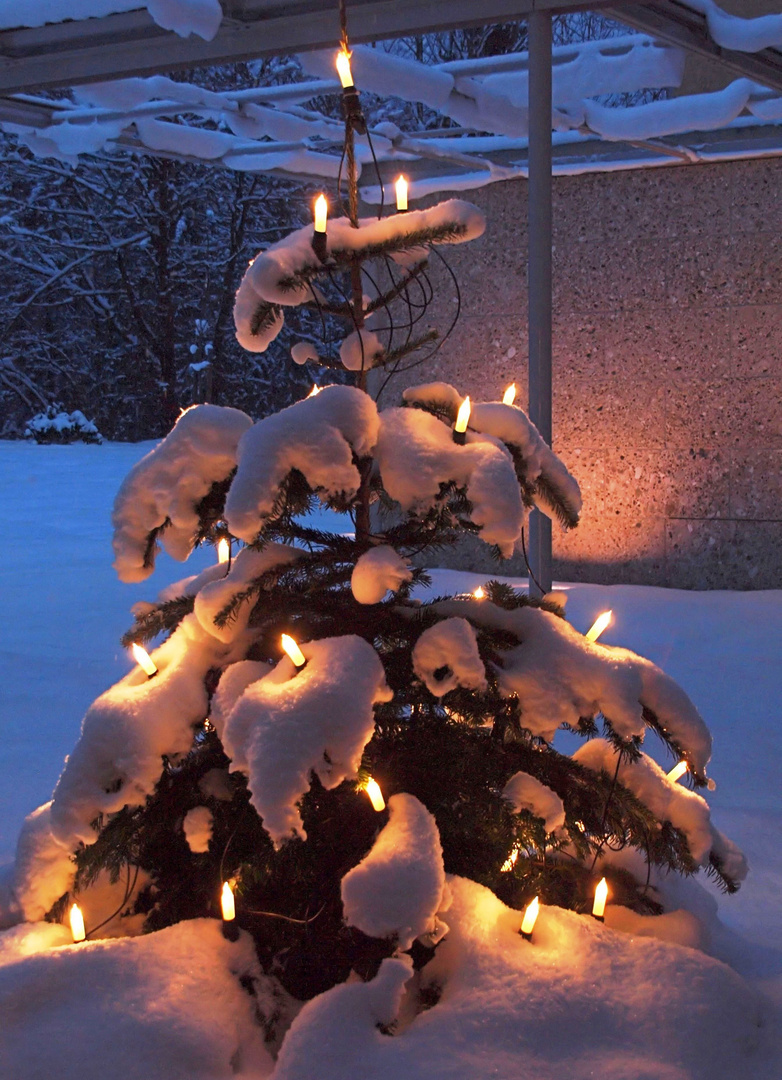 Frohe Weihnachten