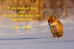 Frohe Weihnachten