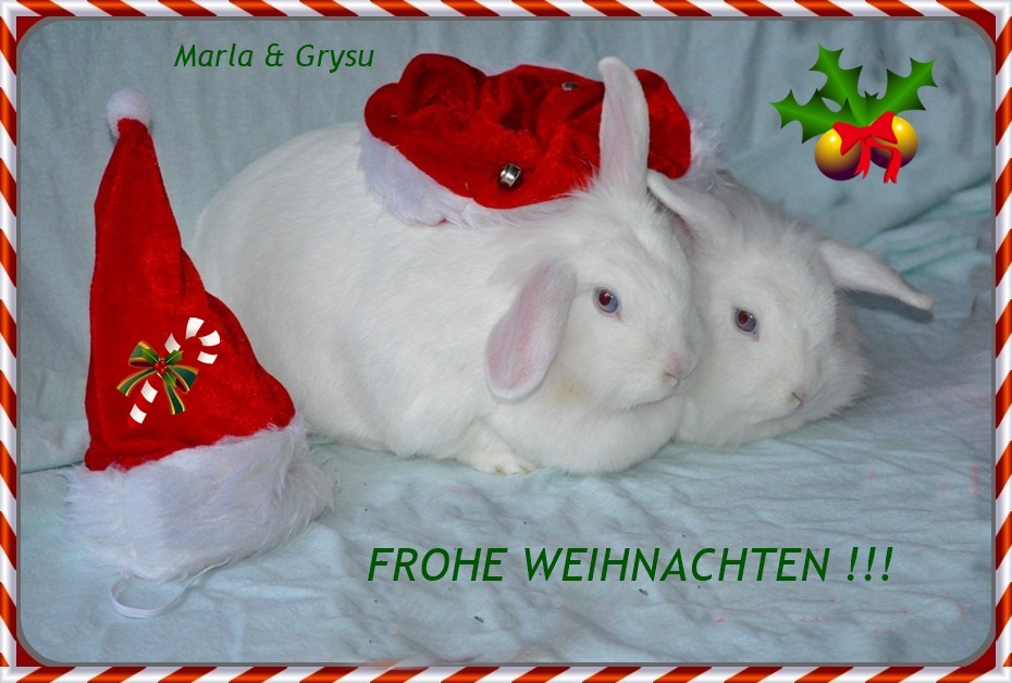 FROHE WEIHNACHTEN !!!