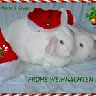 FROHE WEIHNACHTEN !!!