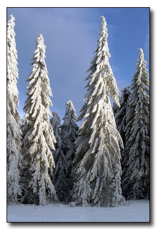 Frohe Weihnachten...