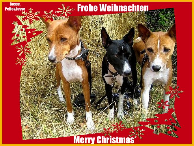 Frohe Weihnachten...