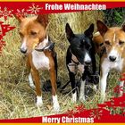 Frohe Weihnachten...