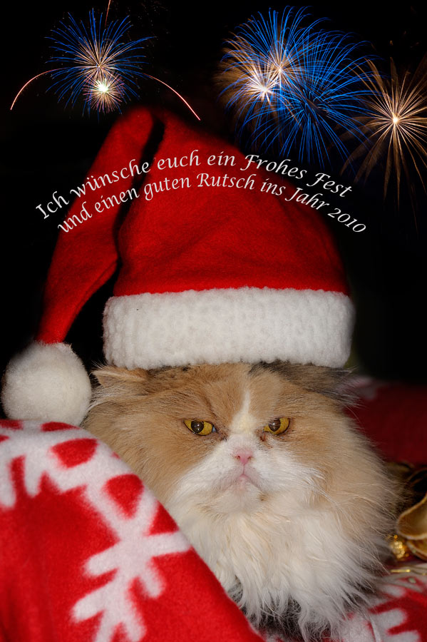 Frohe Weihnachten