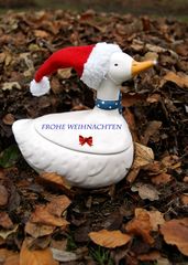 FROHE WEIHNACHTEN