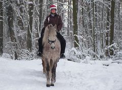 Frohe Weihnachten