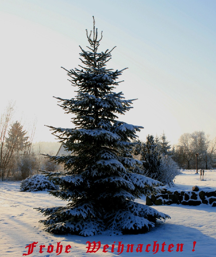 Frohe Weihnachten!