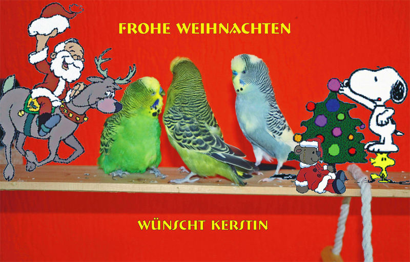 Frohe Weihnachten