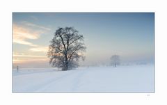 Frohe Weihnachten