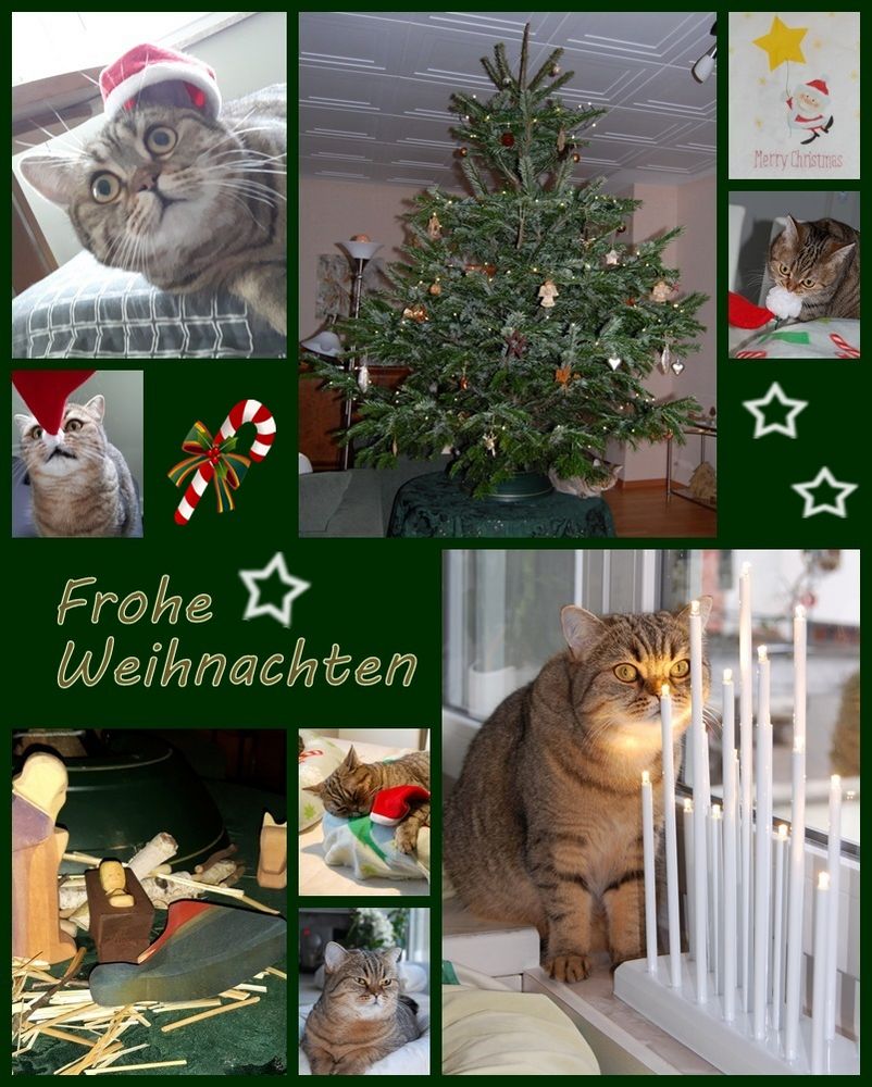 Frohe Weihnachten