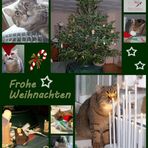 Frohe Weihnachten