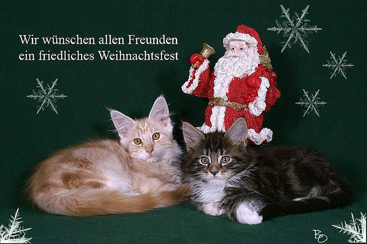 Frohe Weihnachten