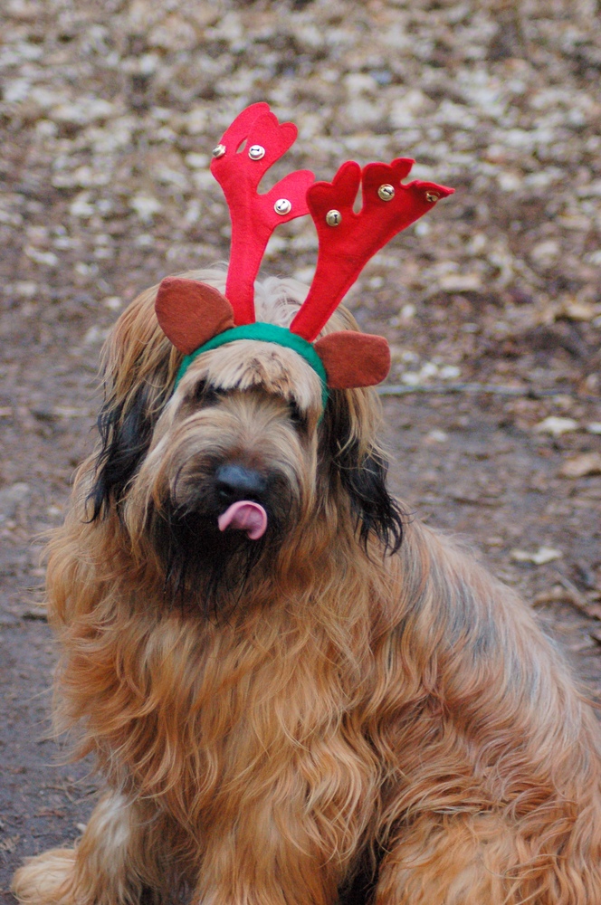 Frohe Weihnachten......