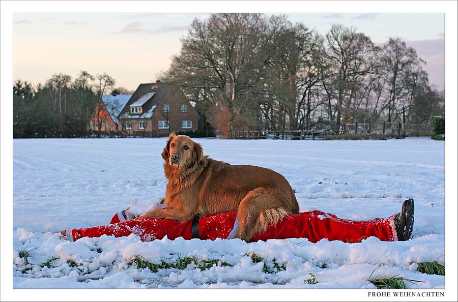 FROHE WEIHNACHTEN.