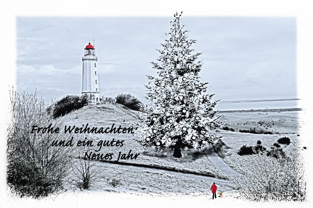 Frohe Weihnachten Foto &amp; Bild | gratulation und feiertage, weihnachten