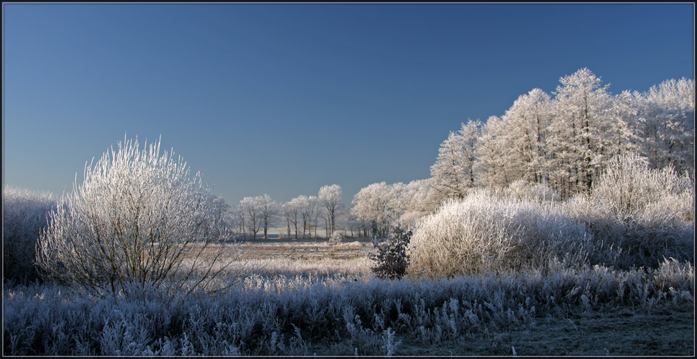 FROHE WEIHNACHTEN