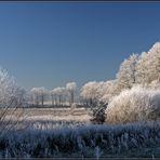 FROHE WEIHNACHTEN