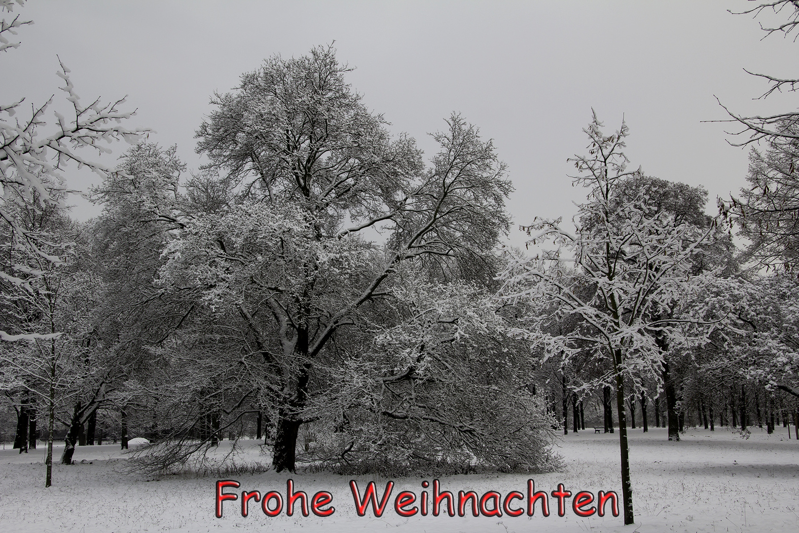 Frohe Weihnachten