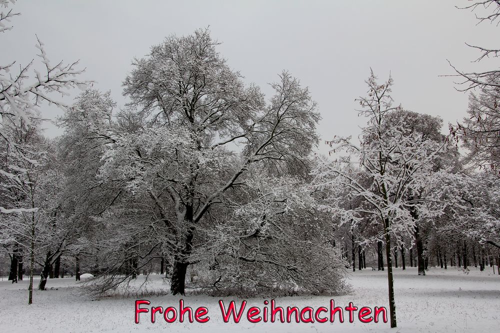 Frohe Weihnachten