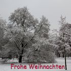 Frohe Weihnachten