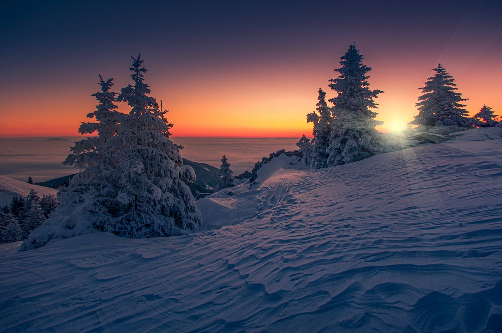 Frohe Weihnachten Foto & Bild jahreszeiten, winter, landschaft Bilder