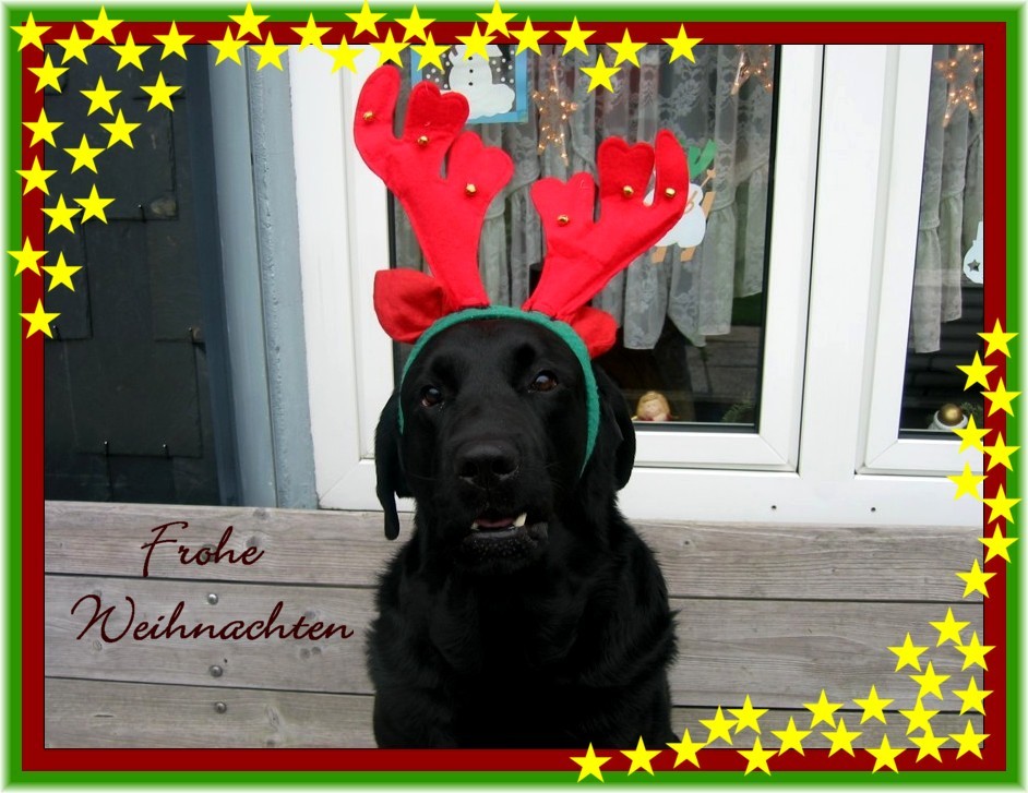 ~ *** Frohe Weihnachten **** ~