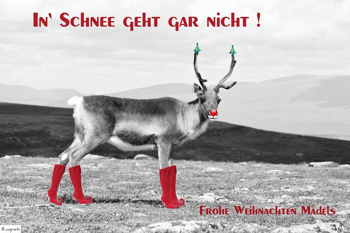 Frohe Weihnachten,