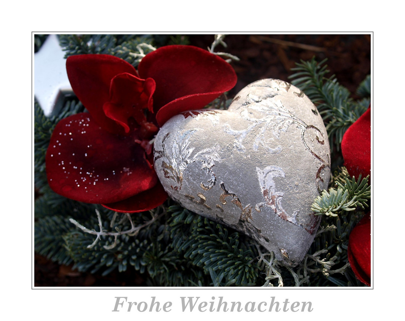 "Frohe Weihnachten "