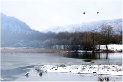 Frohe Weihnachten!