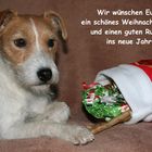 Frohe Weihnachten