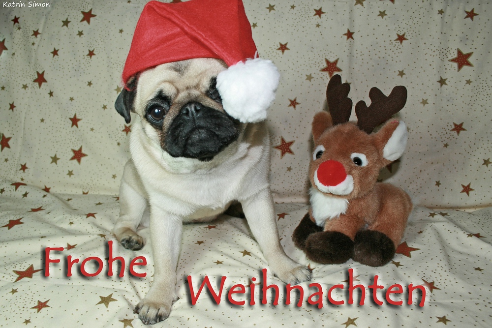 Frohe Weihnachten