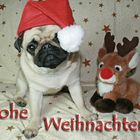 Frohe Weihnachten