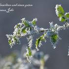 Frohe Weihnachten