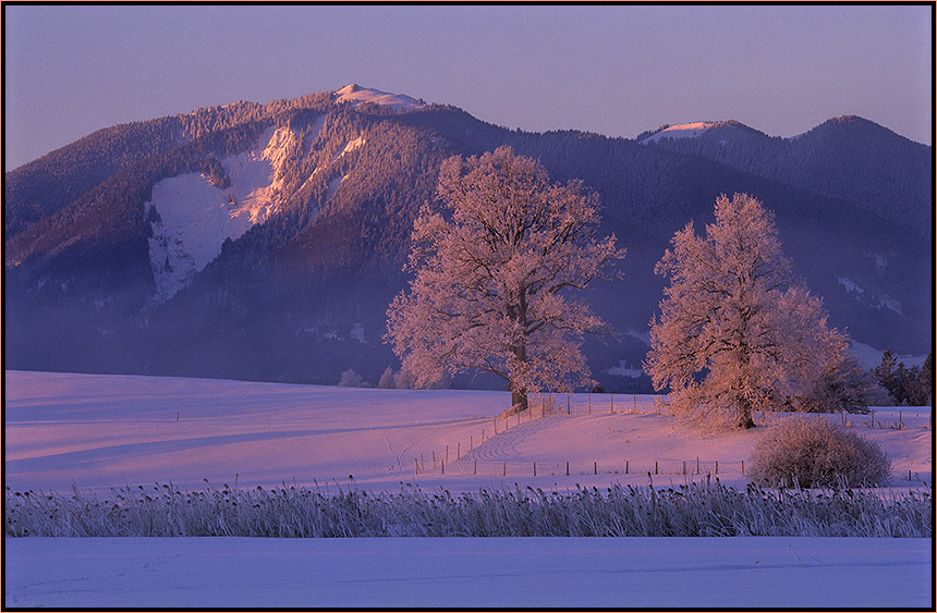 Frohe Weihnachten