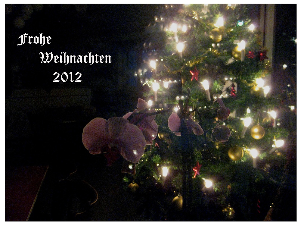 Frohe Weihnachten!