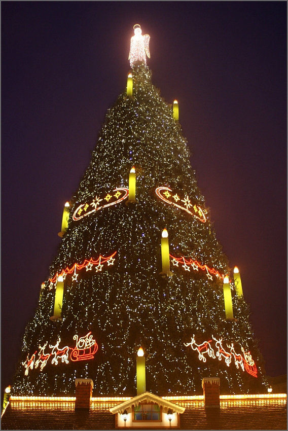 Frohe Weihnachten!