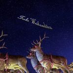 Frohe Weihnachten