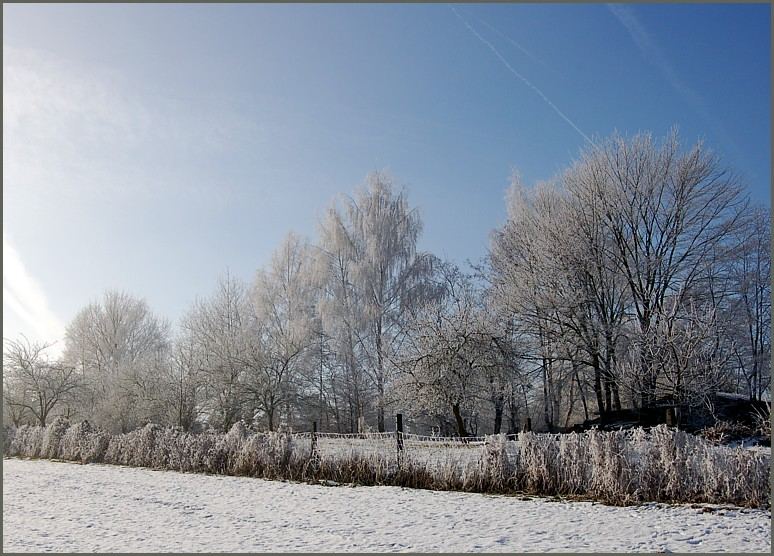 Frohe Weihnachten