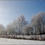 Frohe Weihnachten