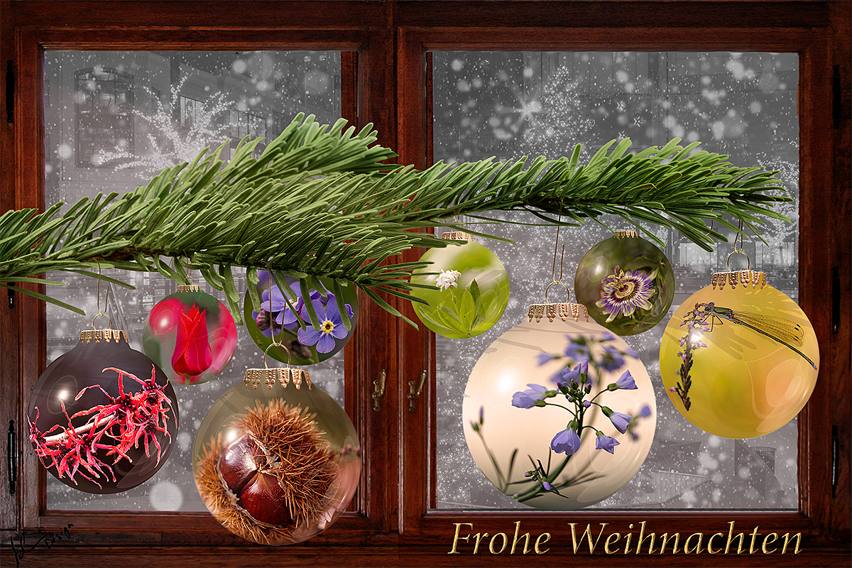 Frohe Weihnachten