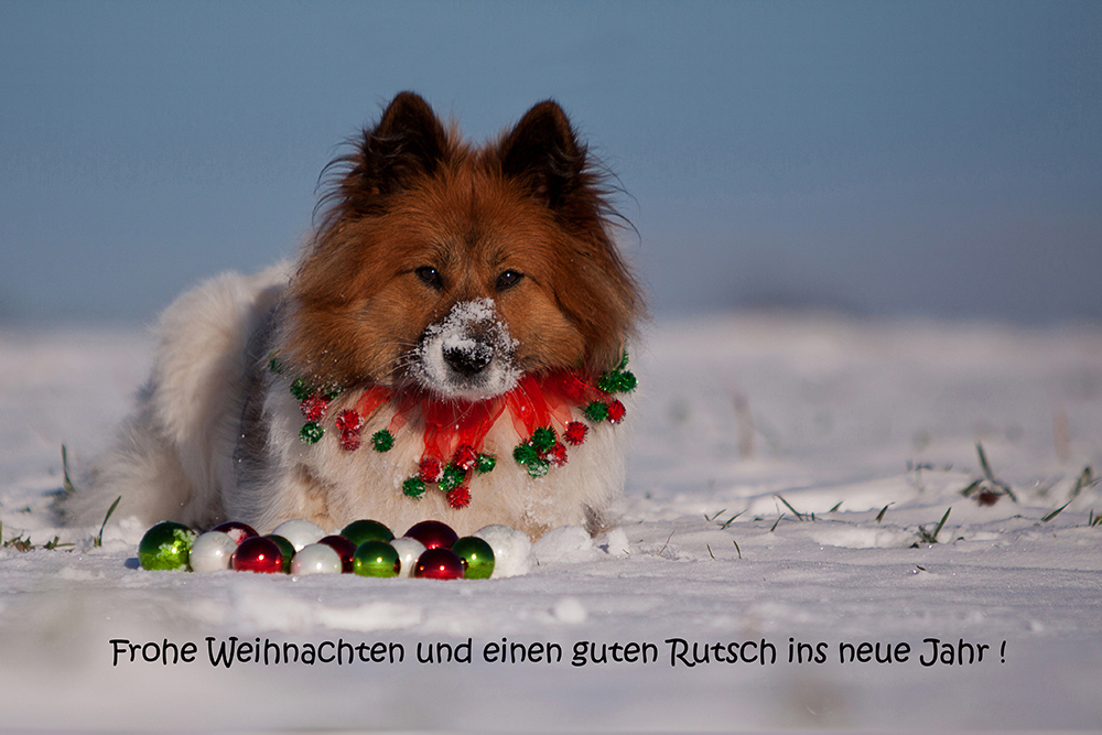 Frohe Weihnachten