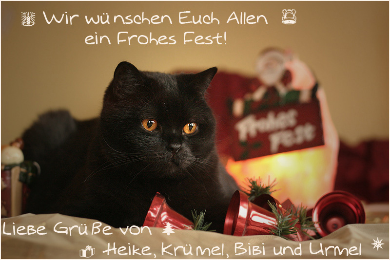 *** Frohe Weihnachten ***