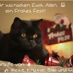 *** Frohe Weihnachten ***