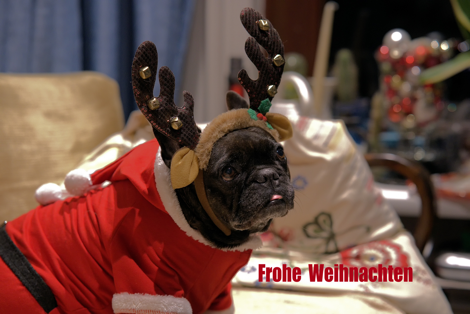 Frohe Weihnachten 