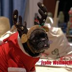 Frohe Weihnachten 