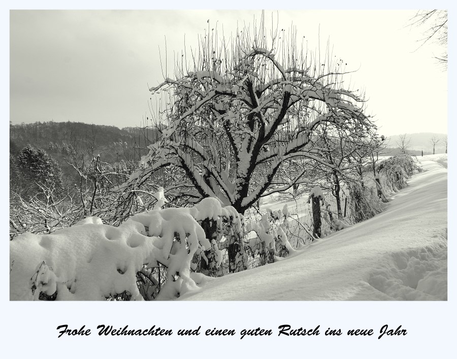 Frohe Weihnachten