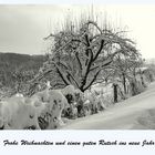 Frohe Weihnachten