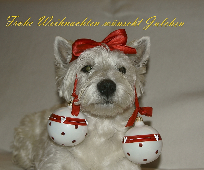 Frohe Weihnachten