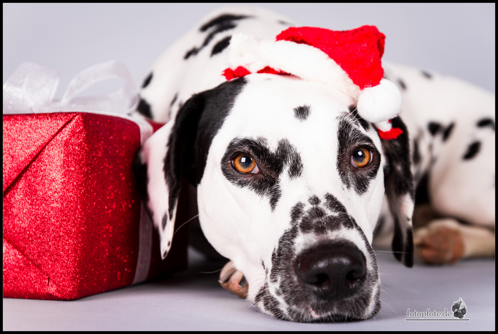 Frohe Weihnachten!